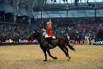 Cavalry - 00274